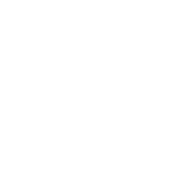 Cigar essence